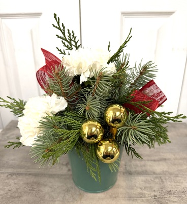 Holiday Cheer from Aladdin's Floral in Idaho Falls